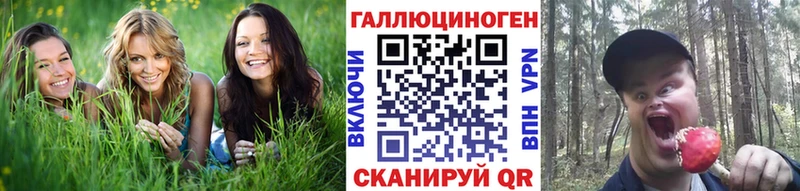 Псилоцибиновые грибы Cubensis Райчихинск